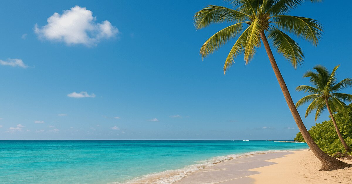 Rachelly Tours – Vive el Caribe