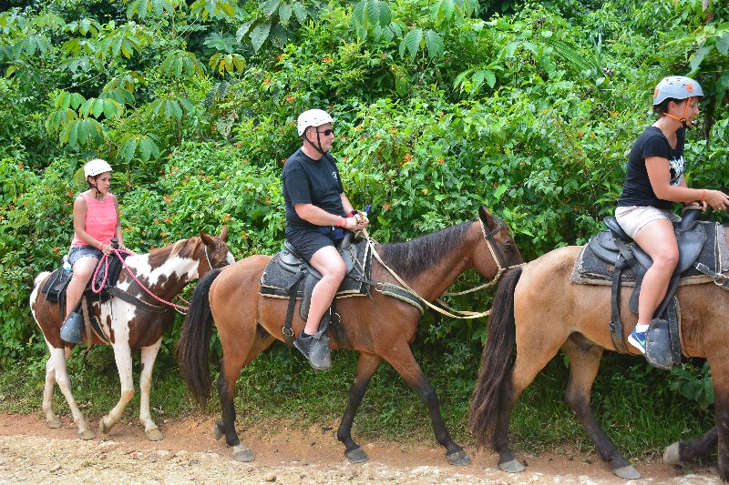 Descubre una Aventura Inolvidable a Caballo
